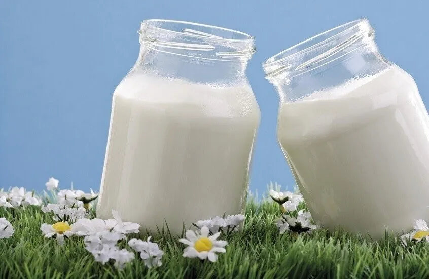 الزبادي المخمر.. فوائد أكبر لصحة العظام من باقي منتجات الألبان!